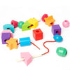 Puzzle Perles Enfant Montessori
