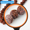 Loupe Insecte pour Enfant